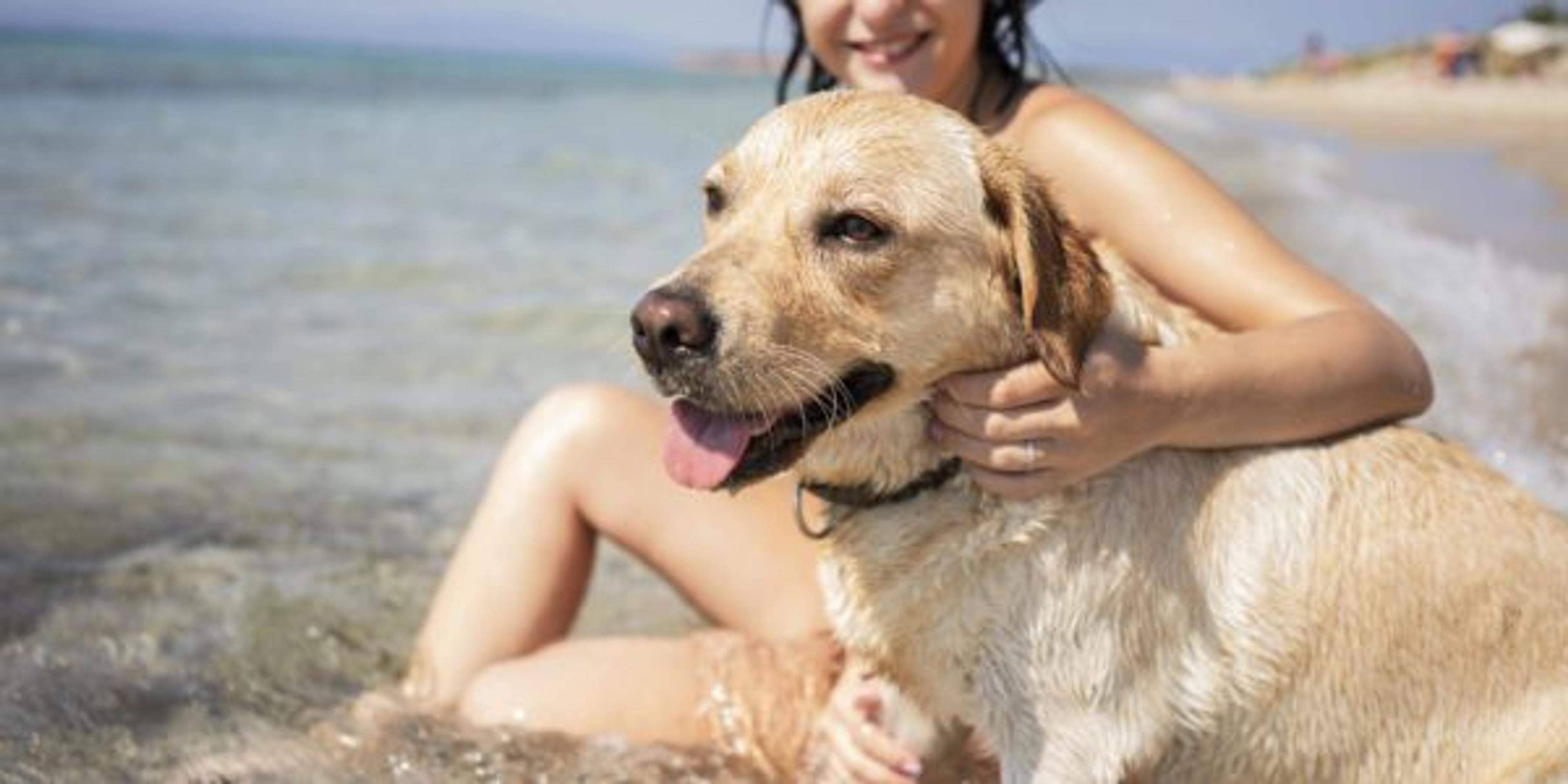 Throughout the summer, beaches on lakes across the state are full of traveling tourists and locals.  However, it is important to know that not every beach in Michigan is dog friendly. 